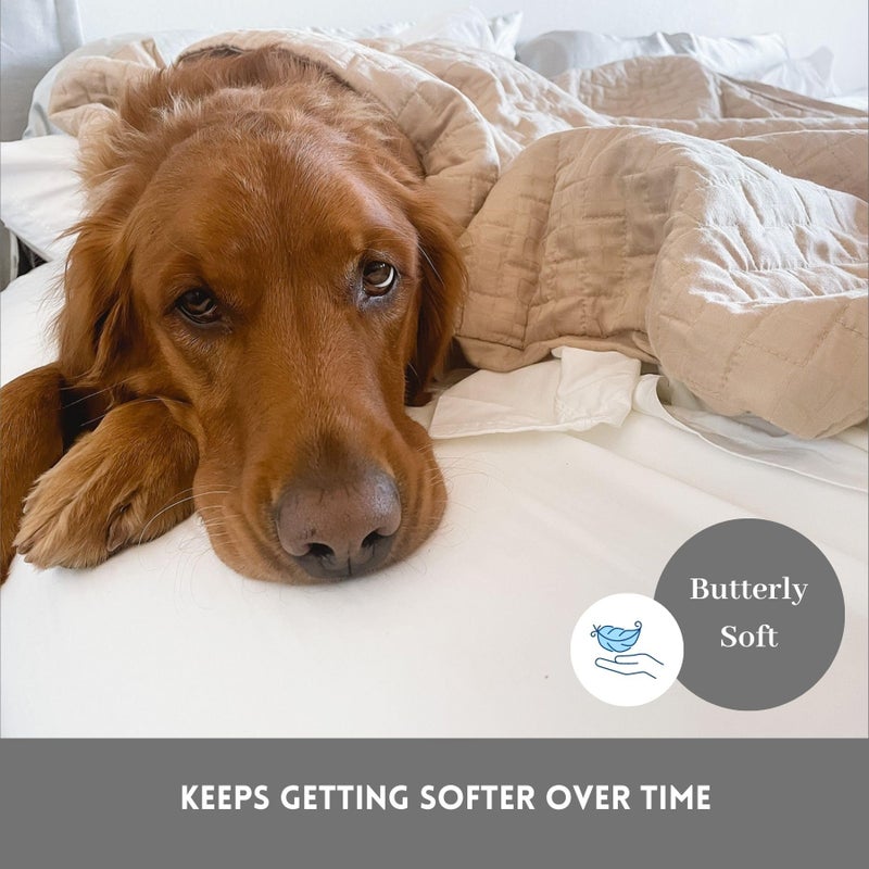 DreamFit DreamComfort 100% Natural Long Staple Cotton Sheet Set with Elastic Corner Bands with Extra Deep Pockets up to 20 Inches Luxury Bedding Crafted in USA King Sheet Set Blue - Image 2